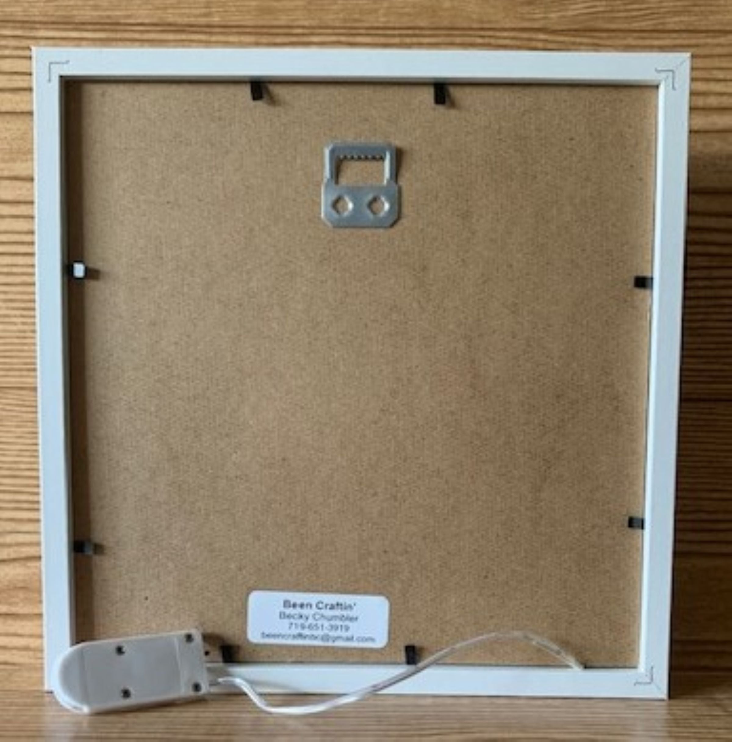 3D Dragonfly Lit Shadow Box