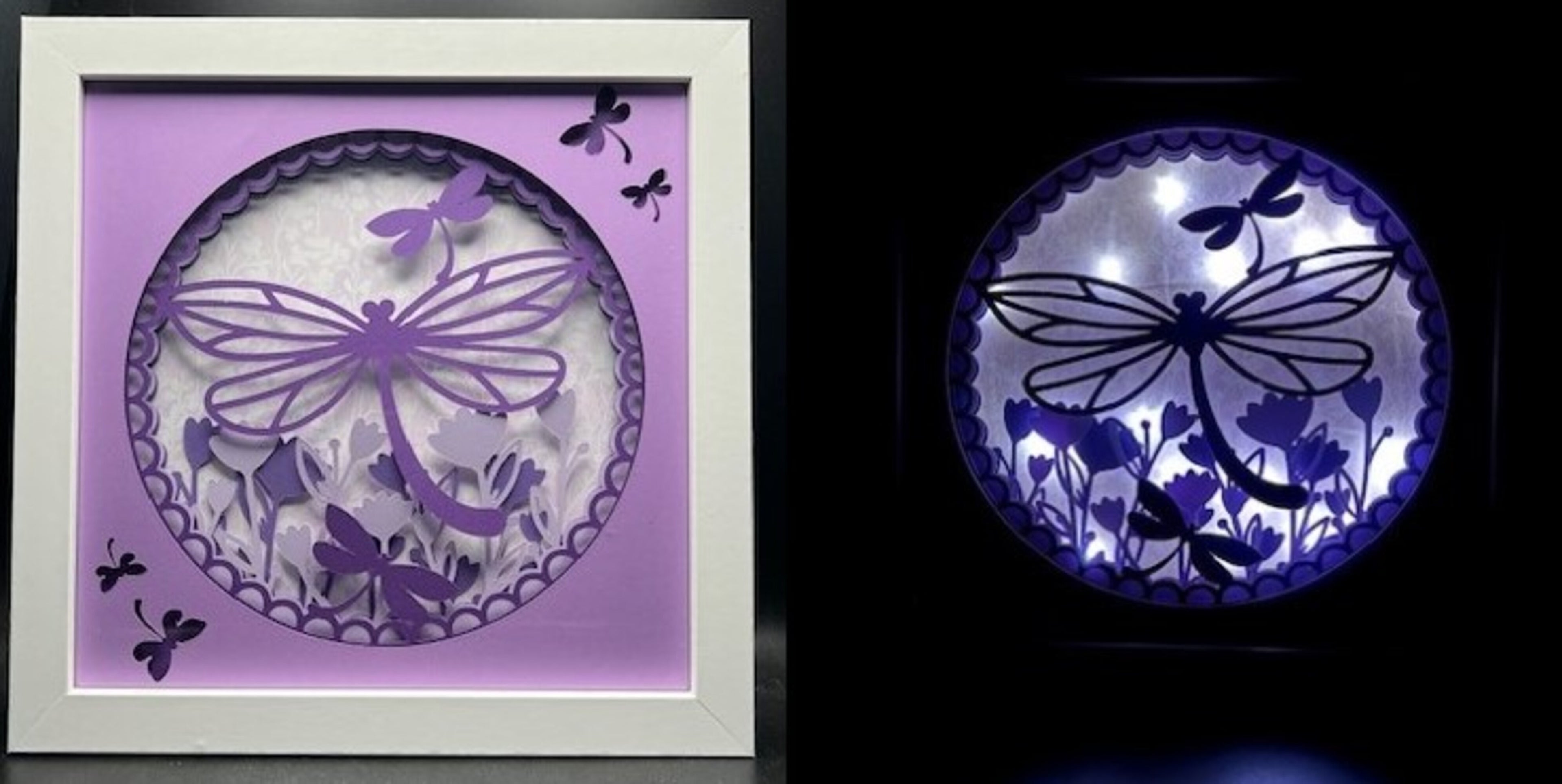 3D Hummingbird Lit Shadow Box