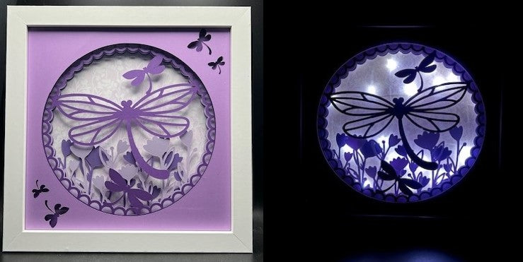 3D Dragonfly Lit Shadow Box