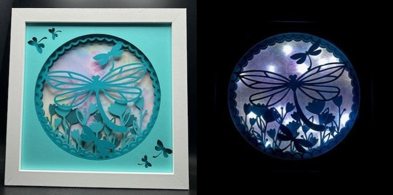 3D Dragonfly Lit Shadow Box (Copy)