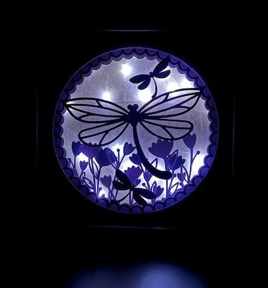 3D Dragonfly Lit Shadow Box