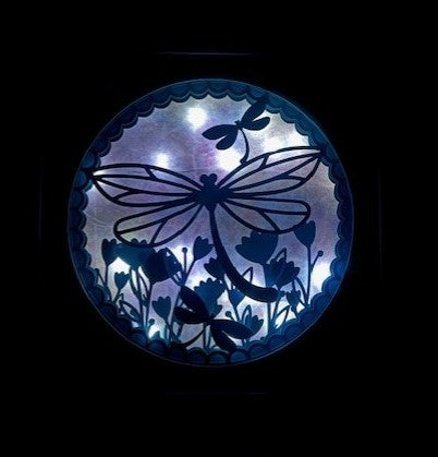 3D Dragonfly Lit Shadow Box (Copy)