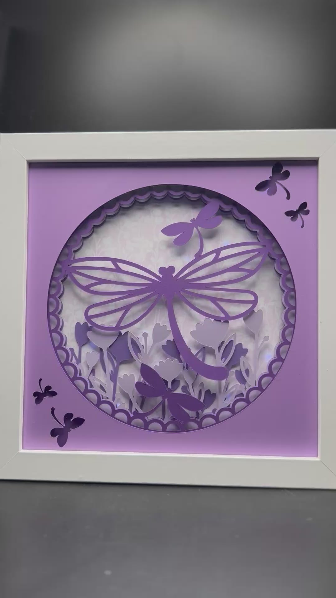3D Dragonfly Lit Shadow Box
